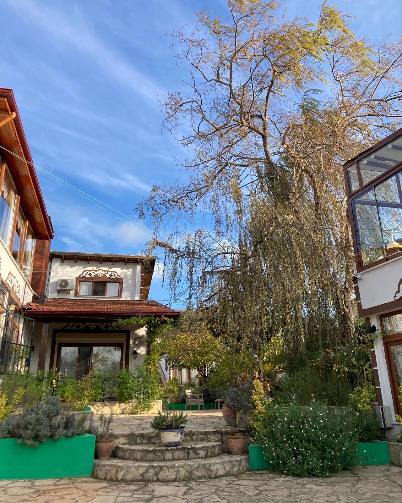 Parantez Motel avlusu ve büyük ağaç